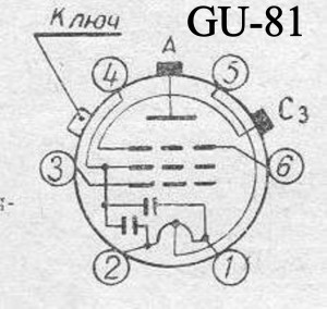 GU81